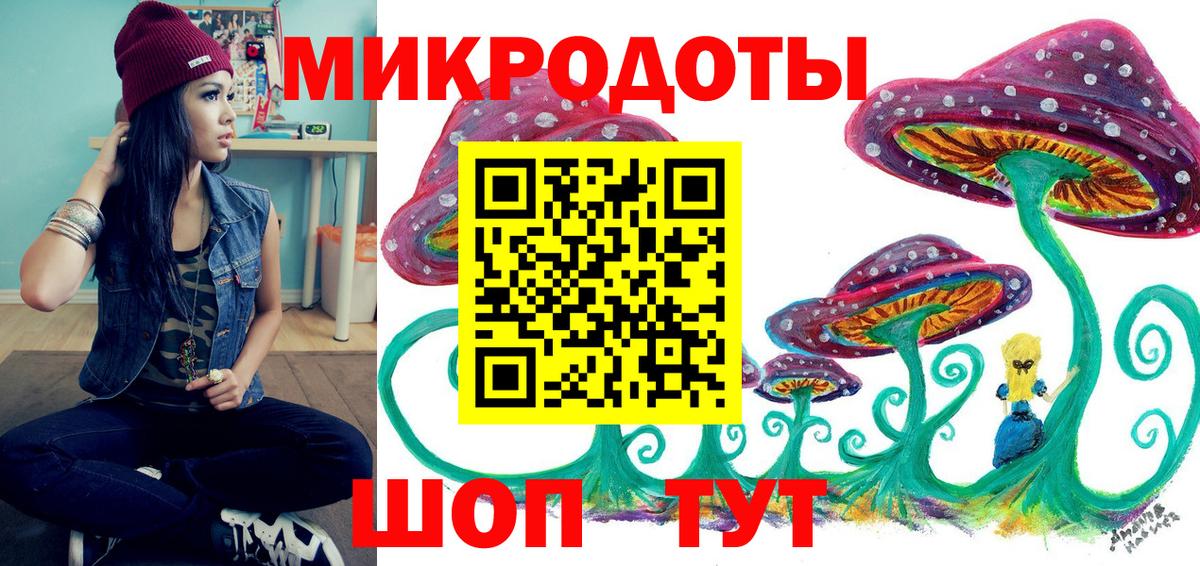Псилоцибиновые грибы Psilocybine cubensis Советск
