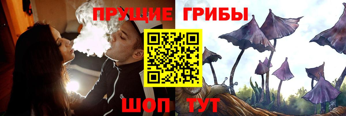 Псилоцибиновые грибы Cubensis  Вход с VPN  Советск 